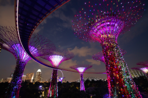 Gardens by the Bay